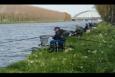 IMG 7941