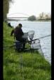 IMG 7951
