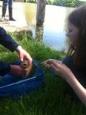 Foto 36