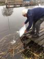 IMG-20190321-WA0004