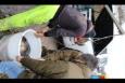 IMG 3846 (Large)