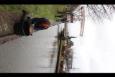 IMG 3861 (Large)