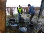 Karpers uitgezet op Amsterdam-Rijnkanaal